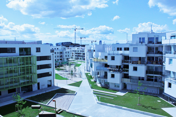 Abbildung 1: Oase 22 (Foto: Daniel Ritter)